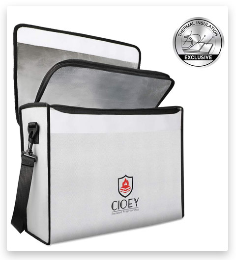 Cioey Fireproof Document Safety Box for Home
