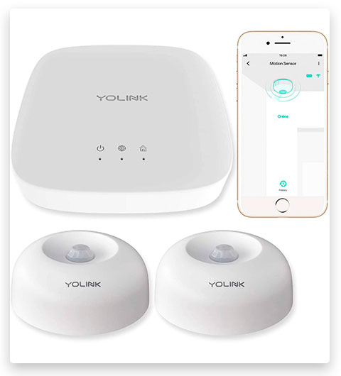 YoLink Smart Motion Sensor with YoLink Hub