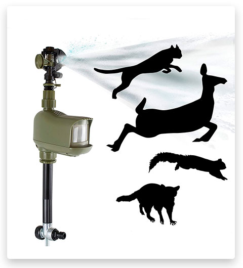 Havahart 5277 Critter Ridder Motion-Activated Animal Repellent and Sprinkler