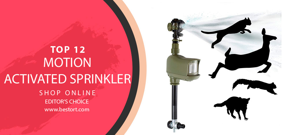 Best Motion Activated Sprinkler