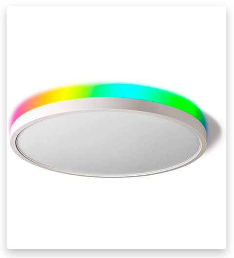 TALOYA Smart Ceiling Mount Wi-Fi LED Light