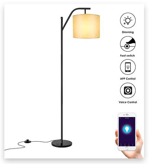 Wellwerks Wellwerks Smart Floor Light Lamp