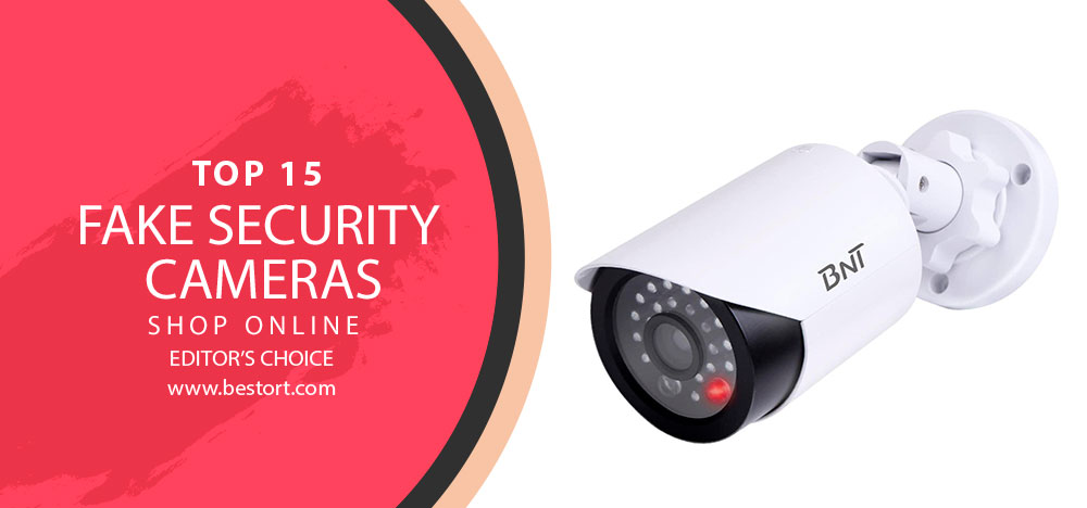 Best Fake Security Camera