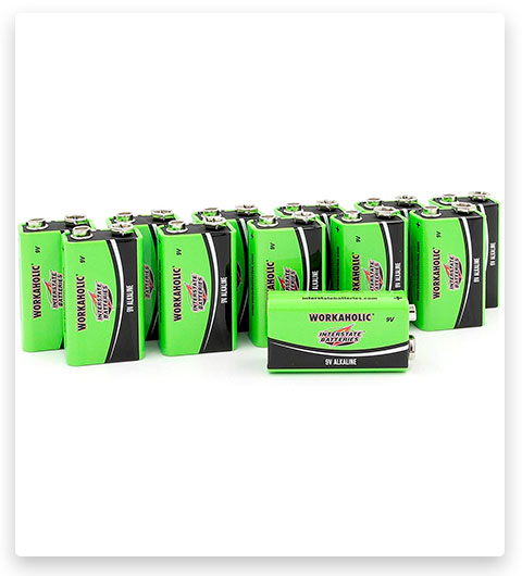 Interstate Batteries 9 Volt All-Purpose Alkaline Battery