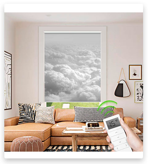 Luckome Motorized Roller Shades with Painting Print