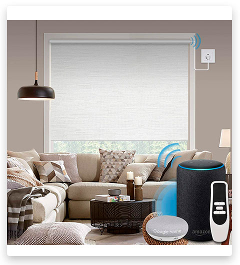 Graywind Motorized Blackout Roller Shade with Alexa and Google Smart Home Control